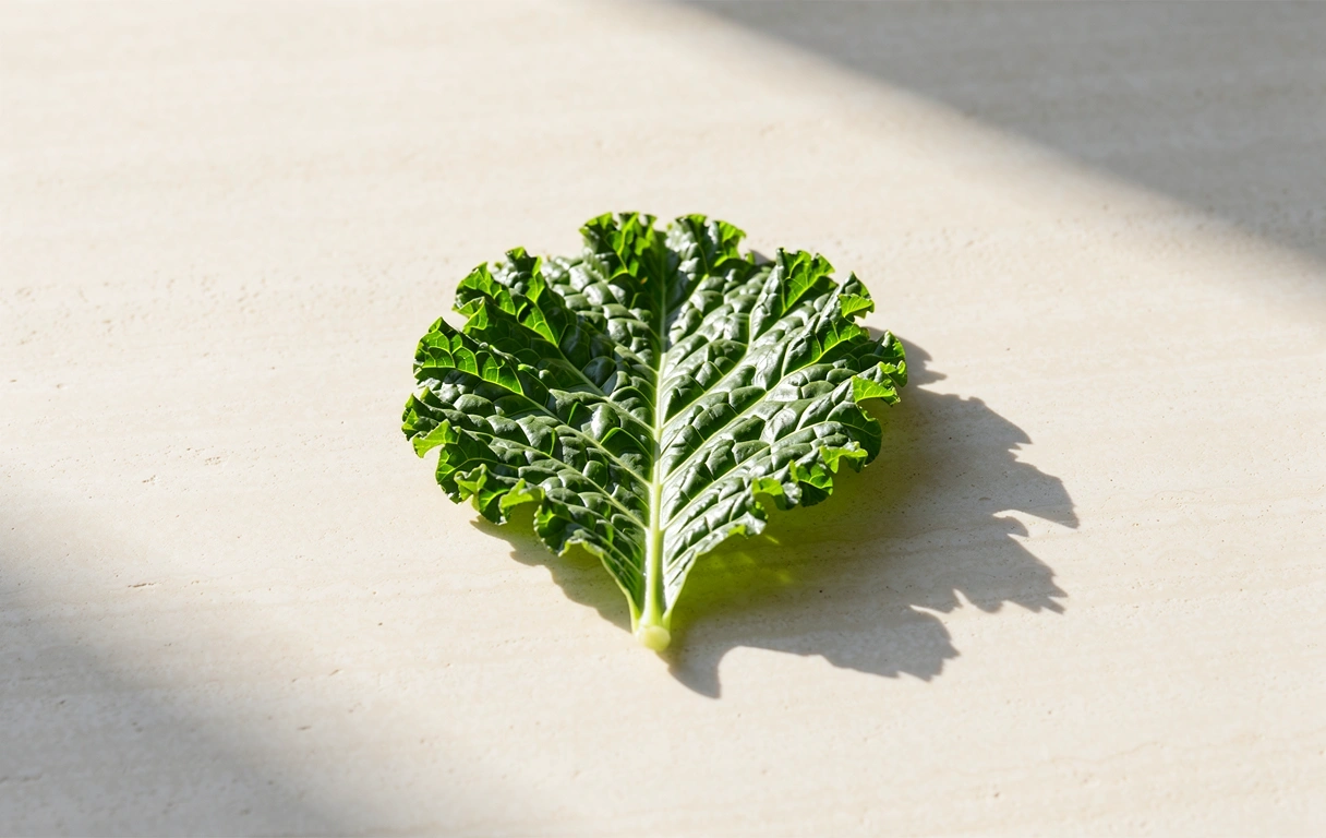 Pohjoismainen ravitsemus ja puhtaus